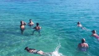 11750083506053427842